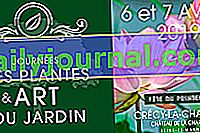 Jornadas de arte de plantas y jardines 2019 en Crécy-la-Chapelle (77)
