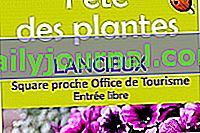 Фестивал на растенията 2017 в Lancieux (22)