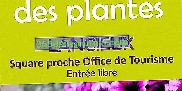 Festiwal roślin 2017 w Lancieux (22)