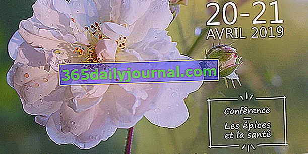 Dani biljnih i vrtnih umjetnosti 2019. u Saint-Ambreuilu (71)