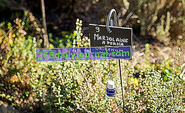 Domaine Sorbelle: любимото Рандеву в градините 2018