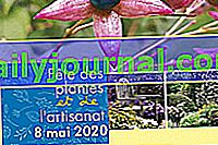 XIV jornada de plantas y artesanías en La Romieu (32)