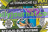 Záhradná párty 2019 v Sceaux sur Huisne (72)