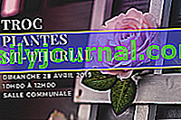 Plantas De Intercambio 2019 en Saint-Thurial (35)