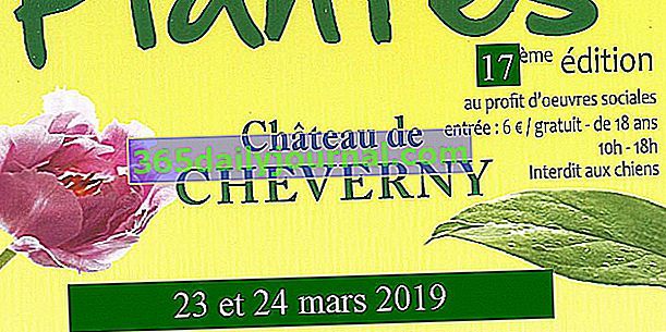 Cheverny'de Bitki Festivali 2019 (41)