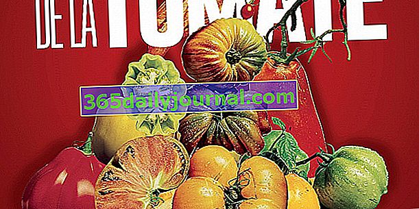 22-й Фестиваль помидоров и вкусов Шато-де-ла-Бурдезьер (37)