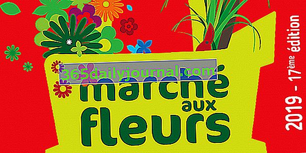 Цветочный рынок 2019 Искусство и природа в Сен-Пер-Марк-ан-Пуле (35)