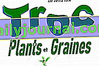 Бартер за растения и семена 2019 в Saint Maximin la Sainte Baume (83)