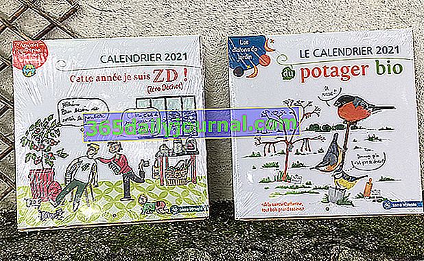 2021 стенни календари