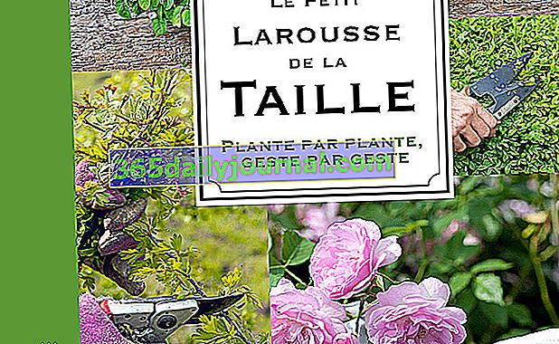 Кристофър Брикел и Le Petit Larousse на Дейвид Джойс