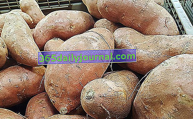сладък картоф (Ipomoea batatas)