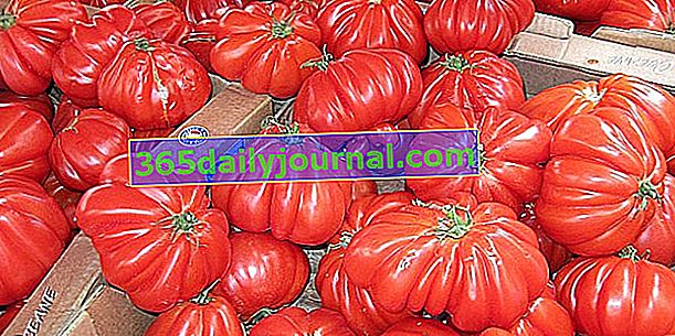 Naučte sa rozpoznávať falošné paradajky Coeur de boeuf!