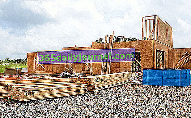 Casa de madera: principio de construcción, ventajas y desventajas.