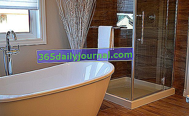 Как да изберем вашата душ кабина: съвети, модели и цена