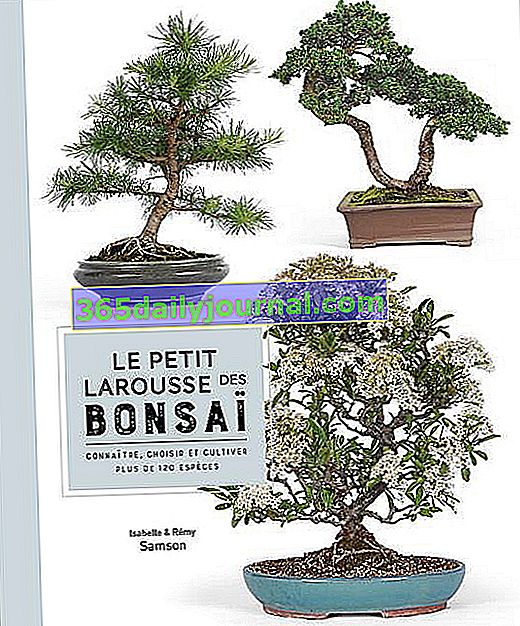 Petit Larousse des bonsaï от Изабел и Реми Самсон