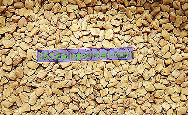 Semena pískavice řecké seno (Trigonella foenum graecum)