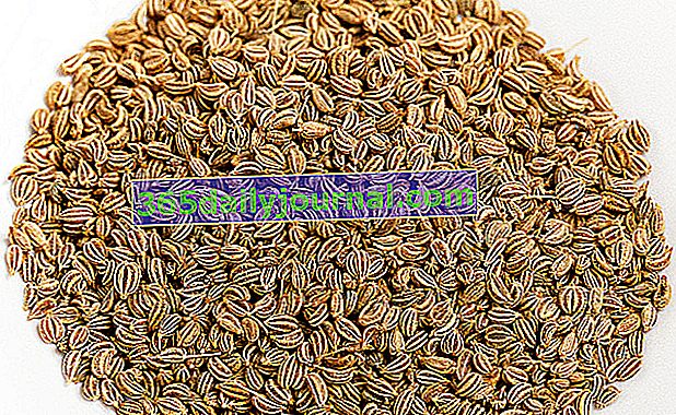 Ajowan o tomillo indio: semillas antisépticas