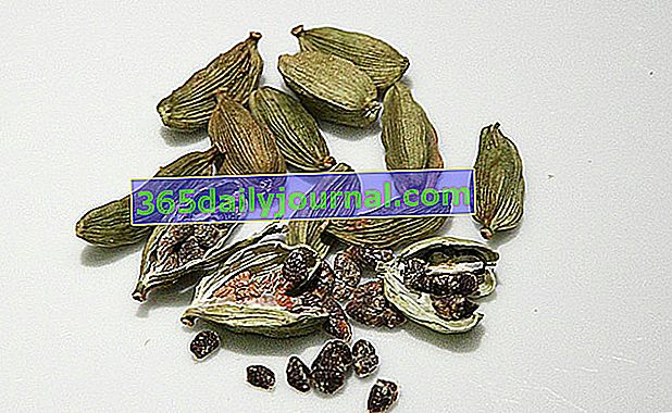 плодове и семена от кардамон: за добро храносмилане
