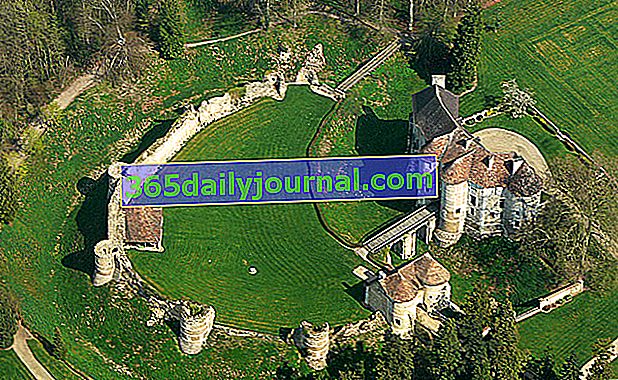 Arboretum y castillo del Domaine d'Harcourt - Eure (27)