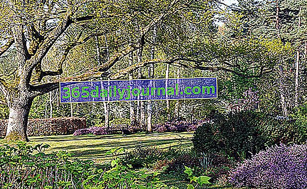 Arboretum des Grandes Bruyères v Ingrannesu