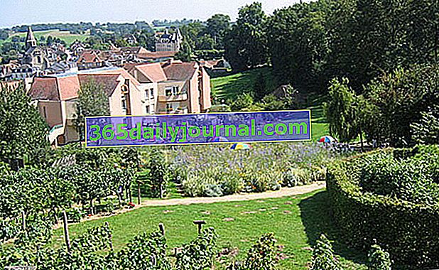 Vrt čutov Nexon - Haute-Vienne (87)