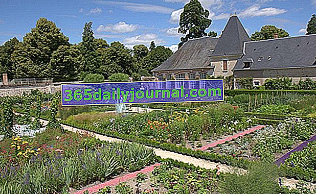 Zeleninové záhrady zámku Château de Cheverny