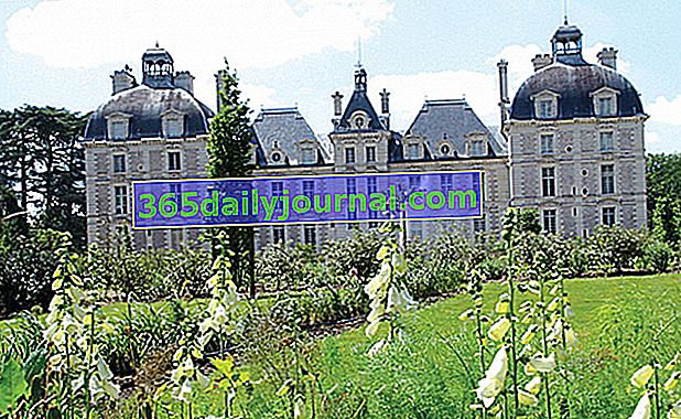 Park a záhrady zámku Château de Cheverny - Loir et Cher (41)