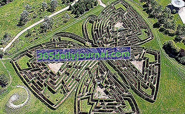 The Jardins de Colette and its Giant Labyrinth in Varetz - Corrèze (19)