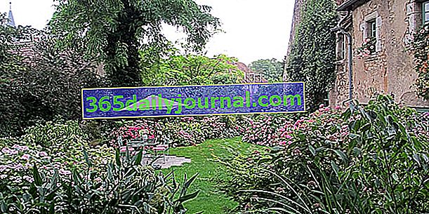 Záhrada a zbierka Annabelle v Rainans - Jura (39)