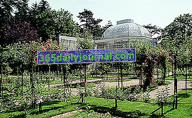 Vrtovi muzeja Albert-Kahn - Haut de Seine (92)