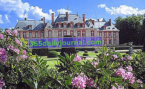 Parque y jardines del castillo de Breteuil - Yvelines (78)