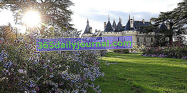 Posiadłość Chaumont-sur-Loire (41)
