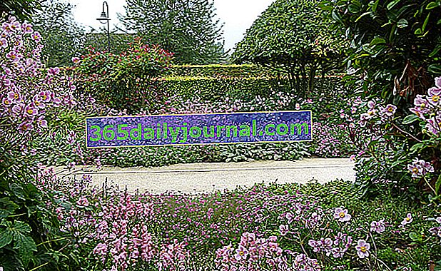 Jardín del museo de los impresionismos Giverny - Eure (27)
